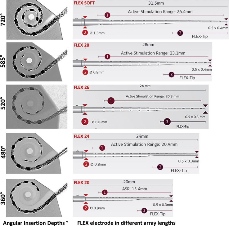 Fig. 3