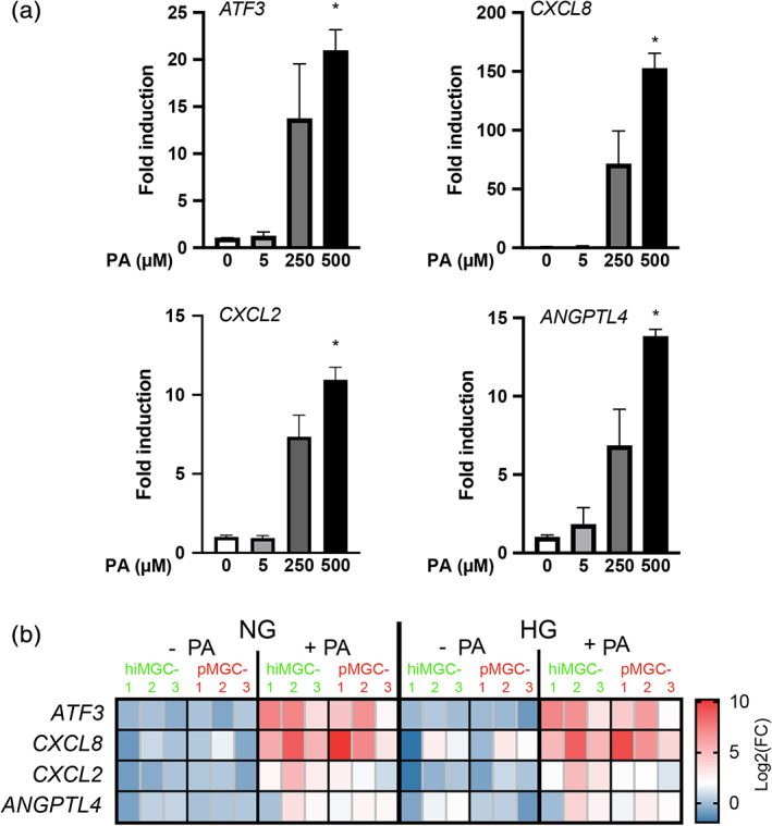 FIGURE 4