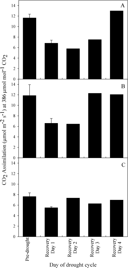 Fig. 5.