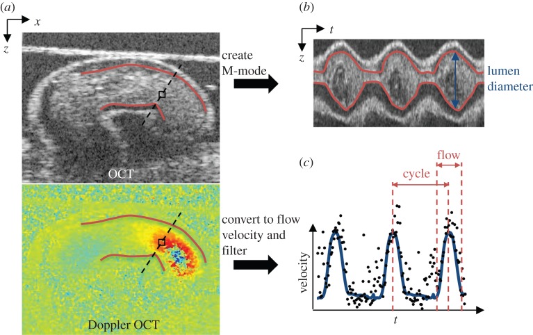 Figure 3.