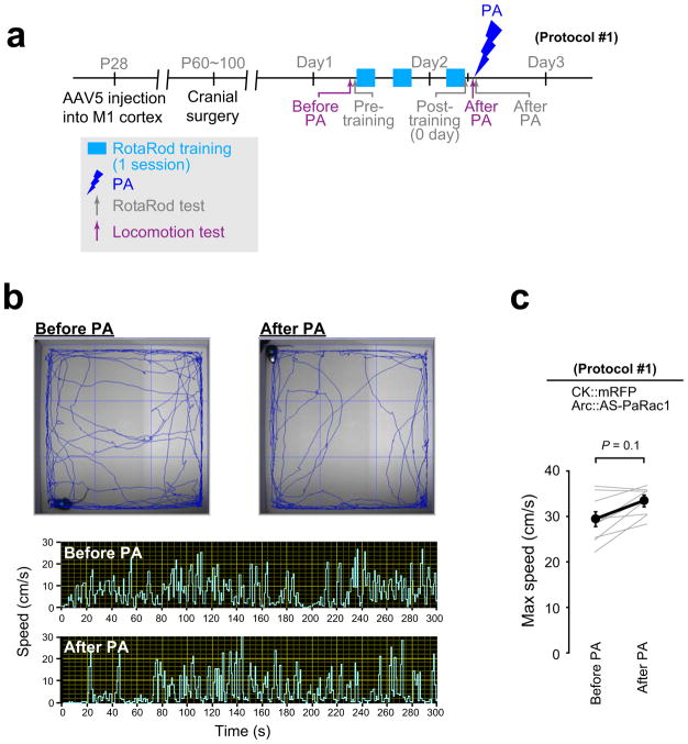 Extended Data Figure 8