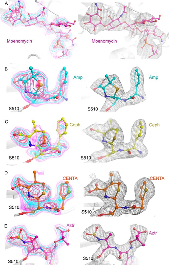 FIGURE 3.