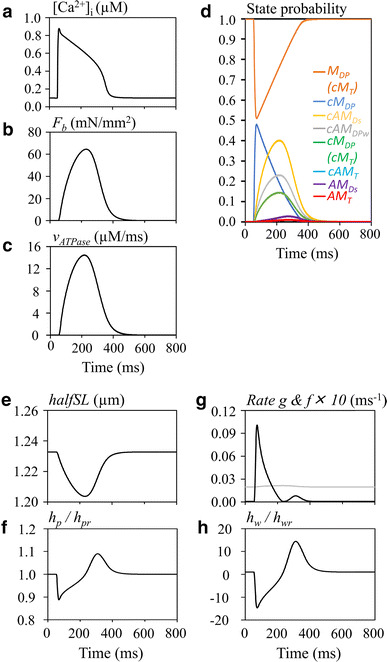 Fig. 4