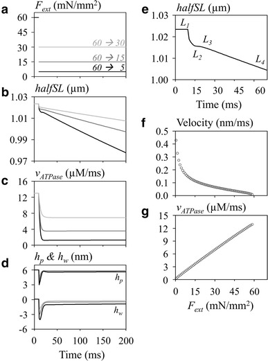 Fig. 6