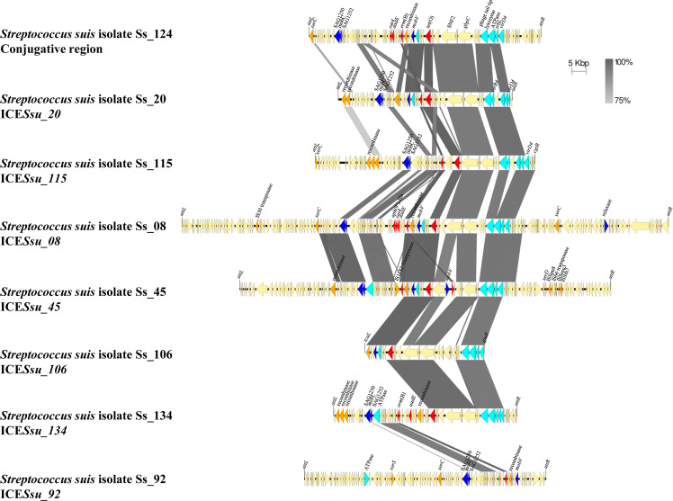 Figure 4