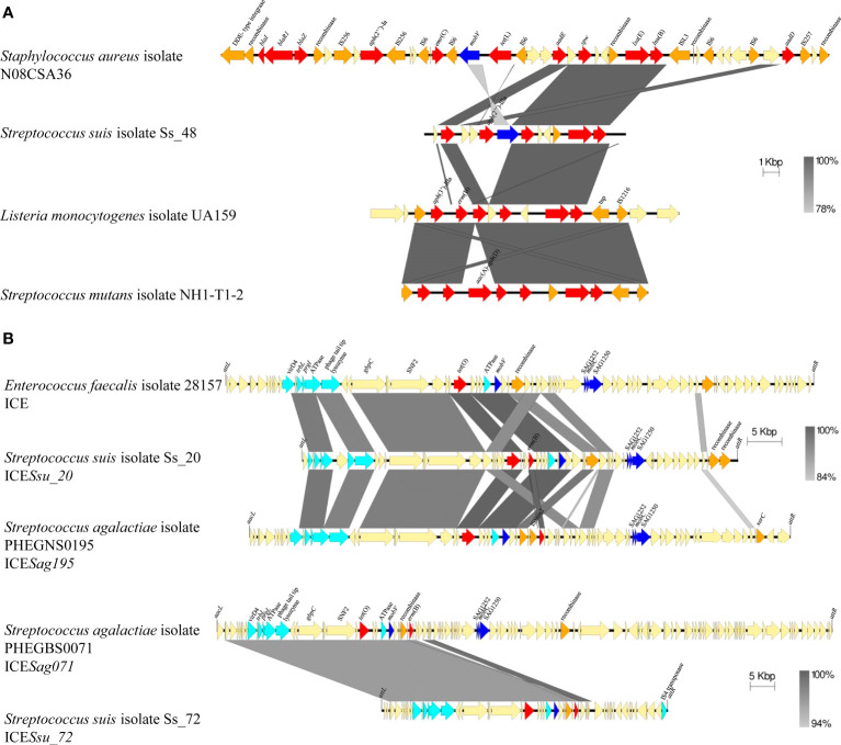 Figure 5