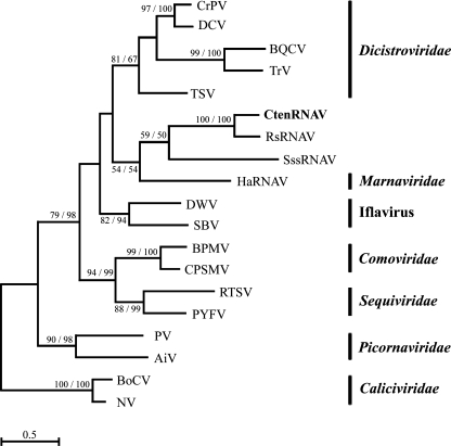 FIG. 6.