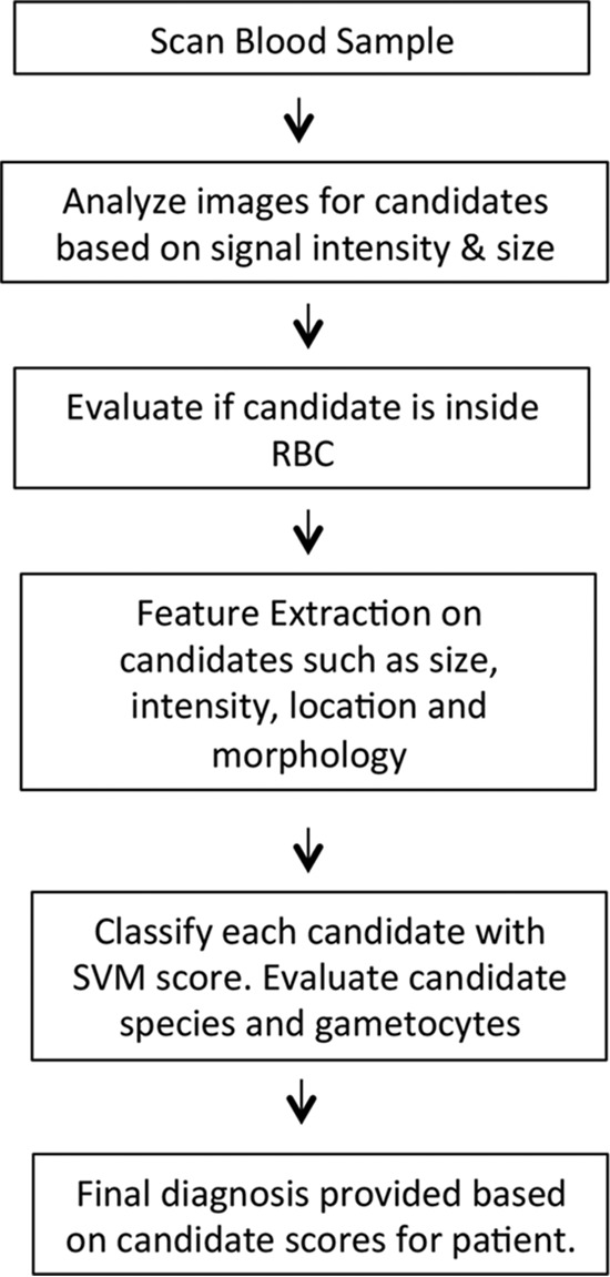 FIG 3