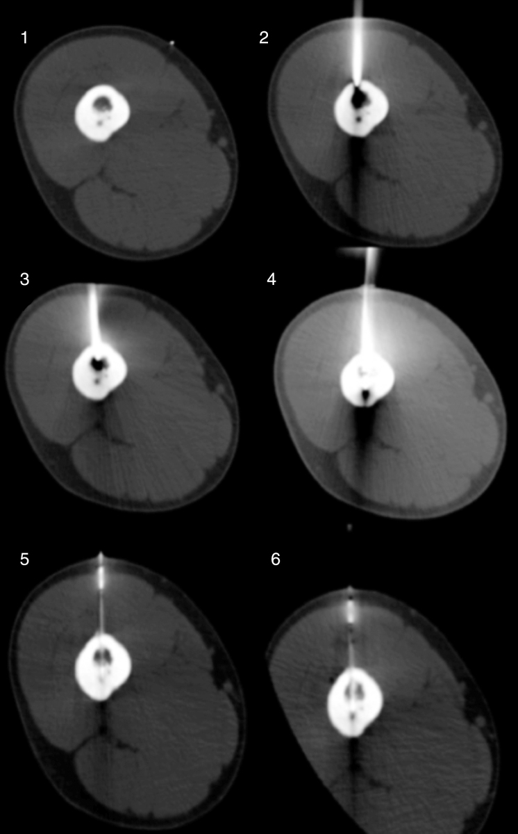 Fig. 5