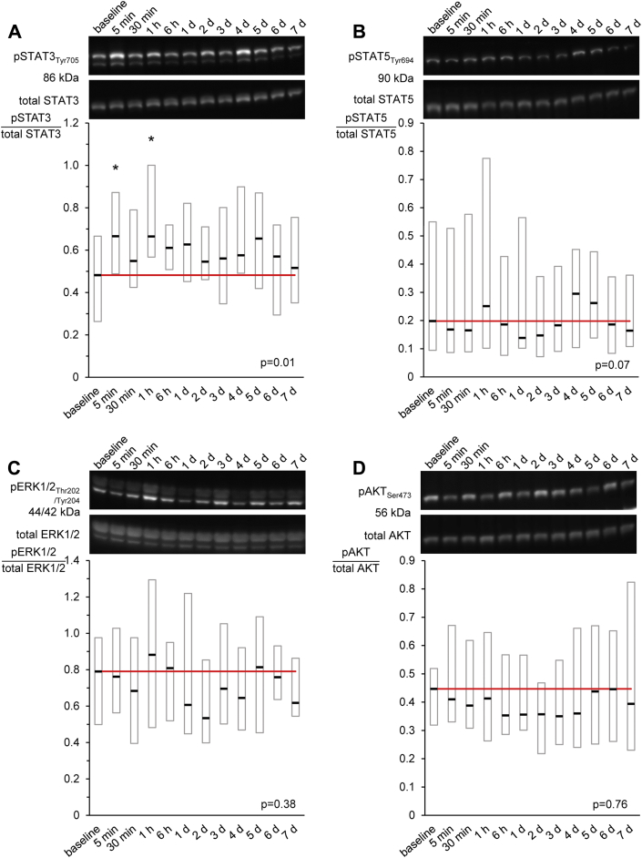 Figure 4