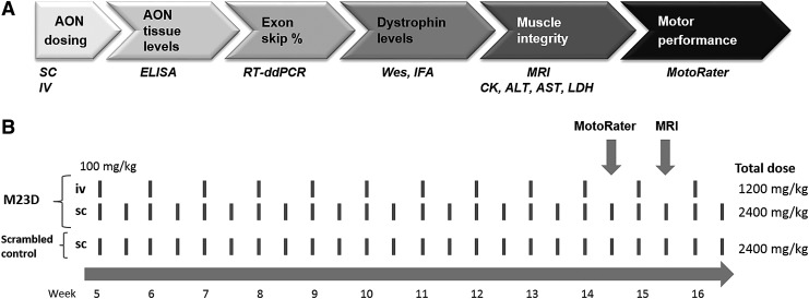 FIG. 1.