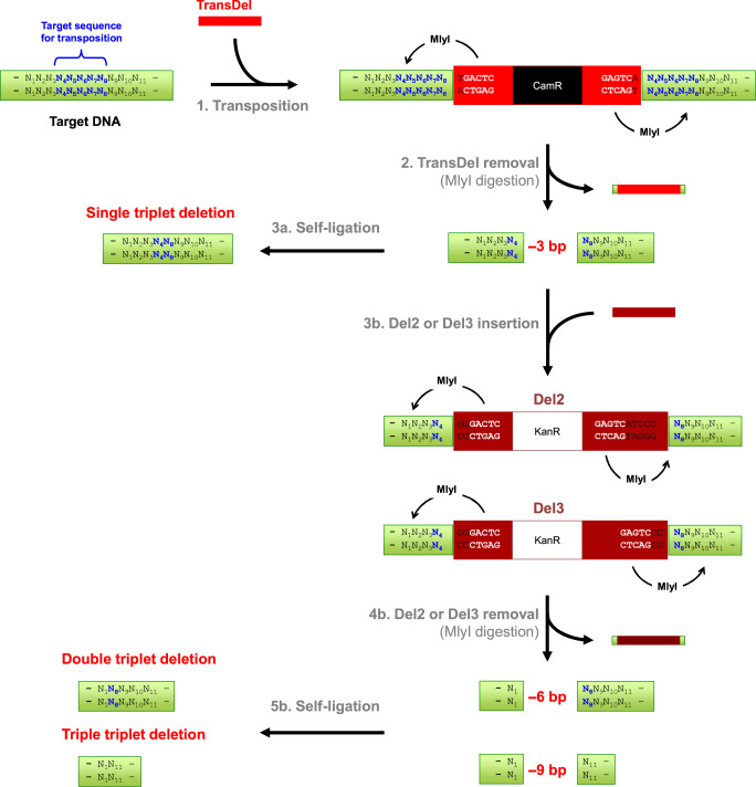 Fig. 2