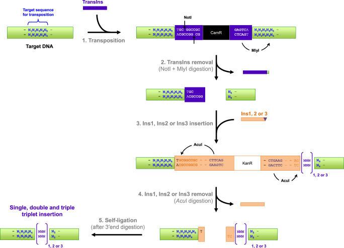 Fig. 3