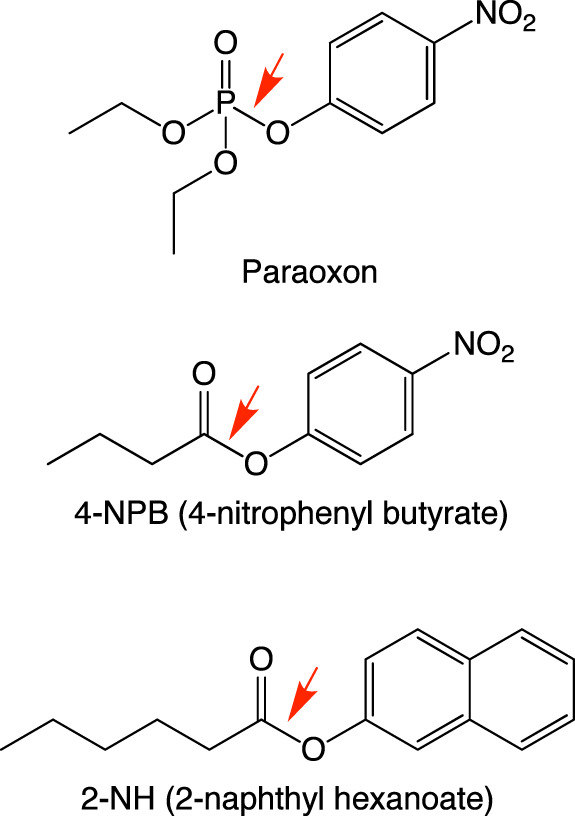 Fig. 5