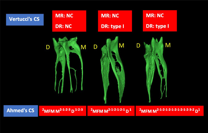 Fig. 10