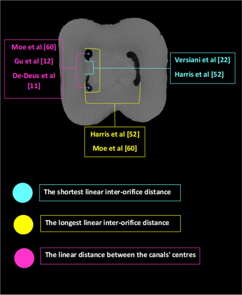 Fig. 5