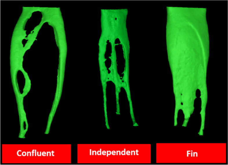 Fig. 9