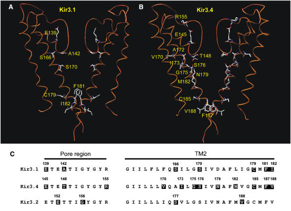 FIGURE 13