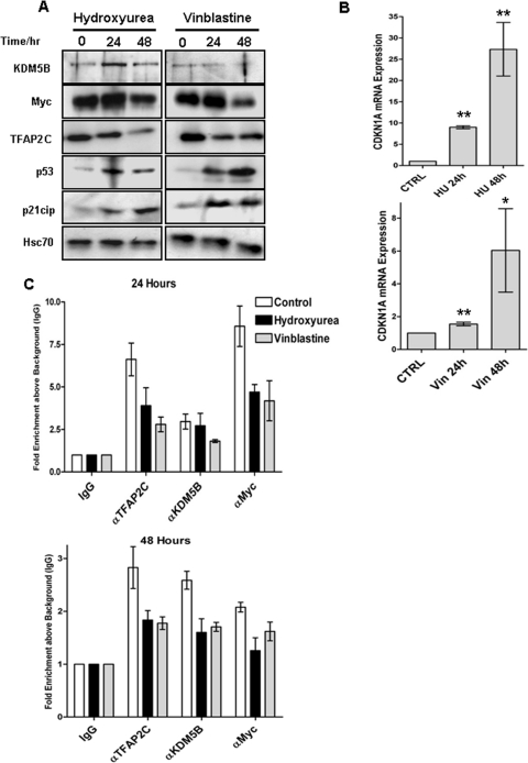 Fig 8