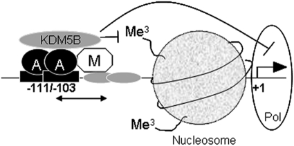 Fig 9