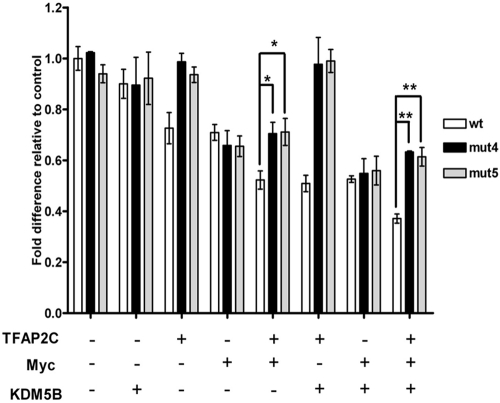 Fig 5