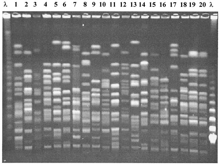 FIG. 1