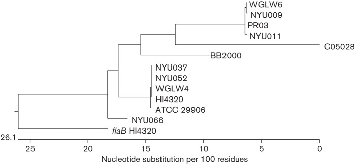 Fig. 3. 