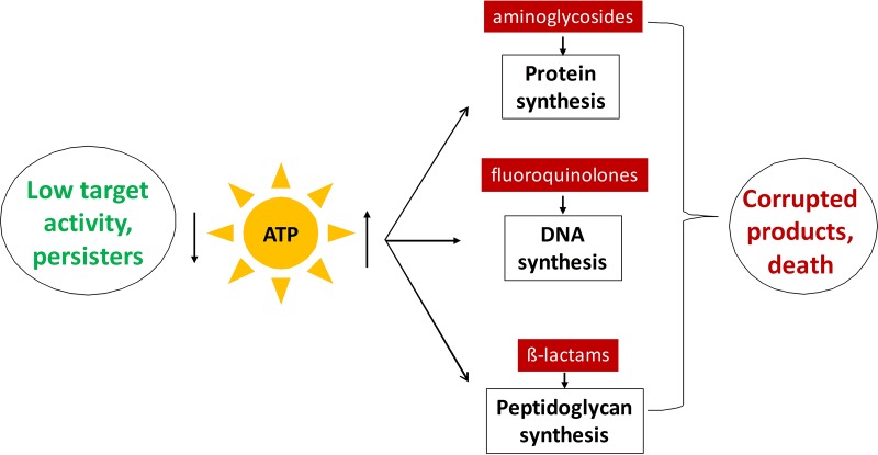 FIG 5 