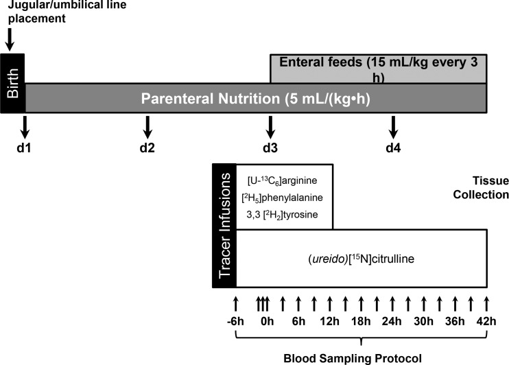 Fig. 2.