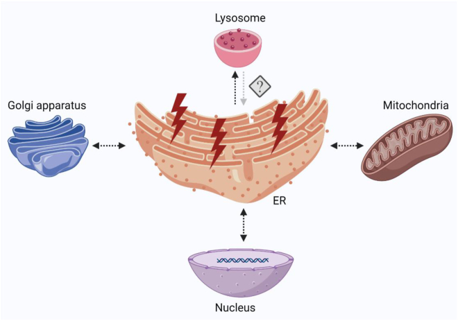 Figure 3