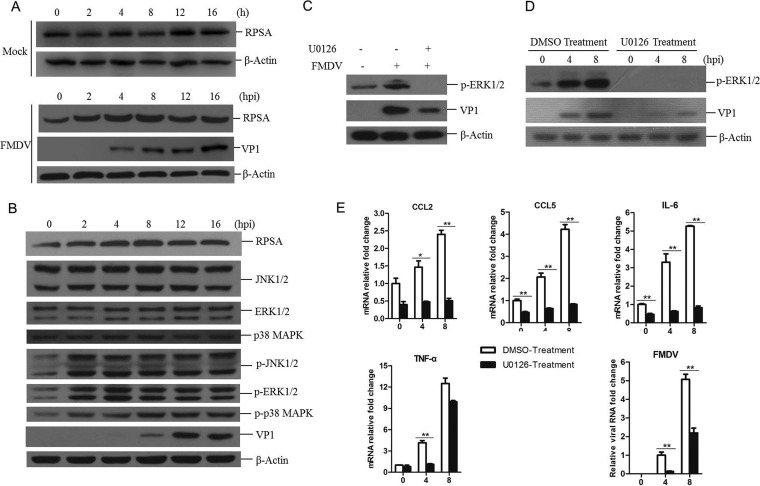 FIG 4