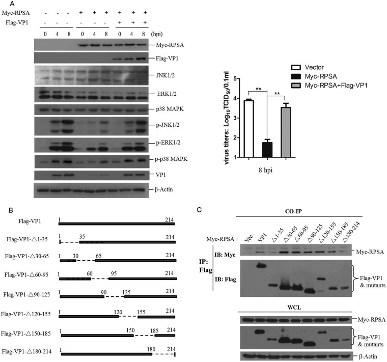 FIG 6