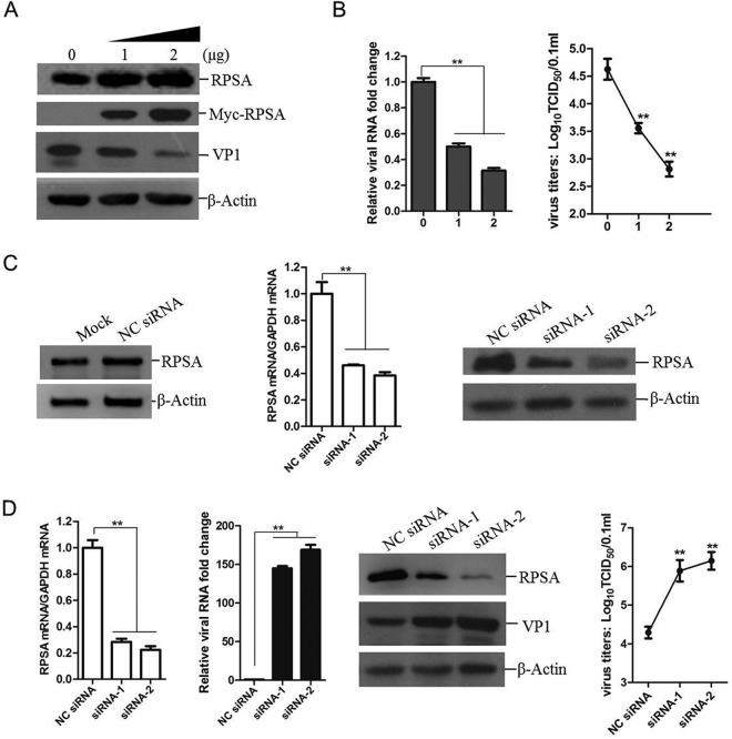 FIG 3