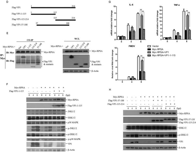 FIG 6