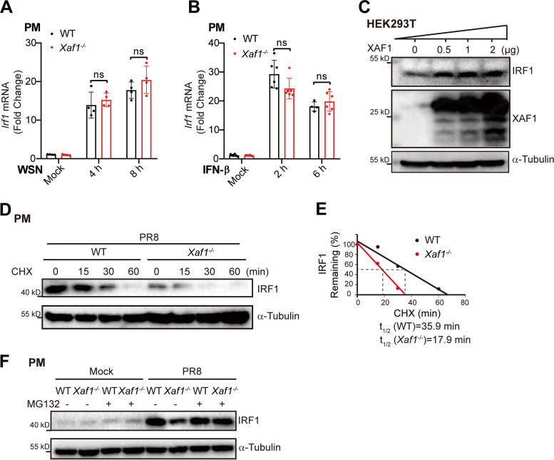 FIG 8