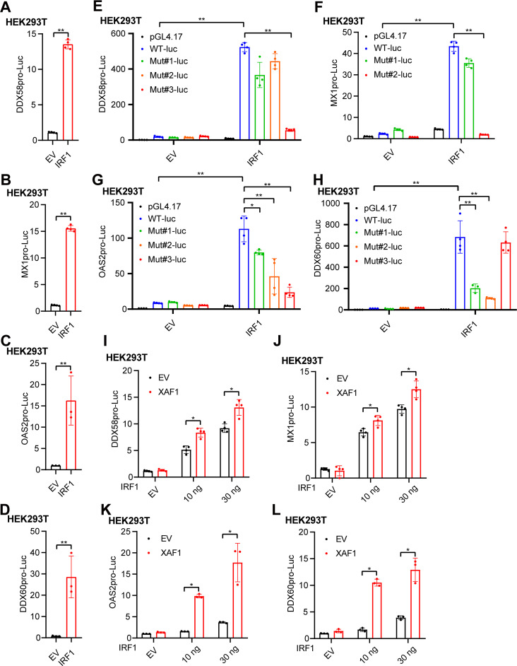 FIG 6