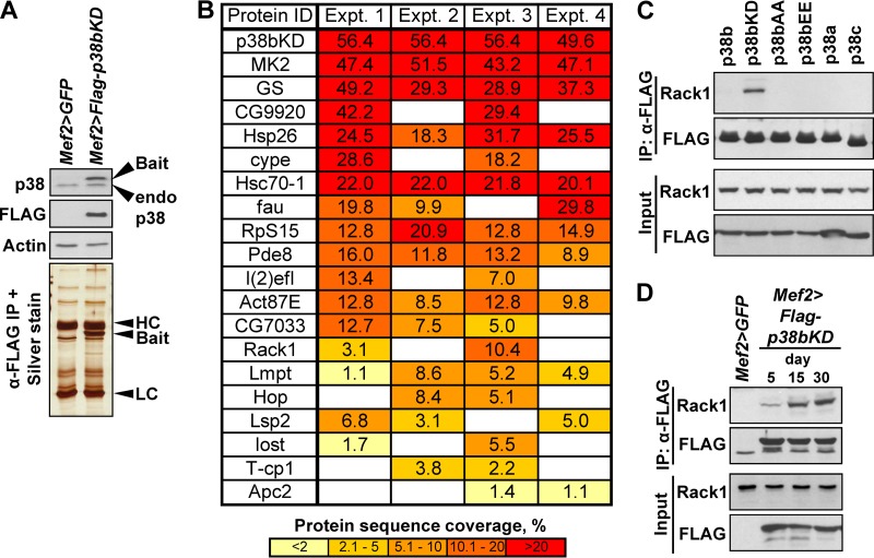 FIG 4