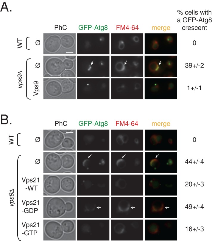 FIGURE 6: