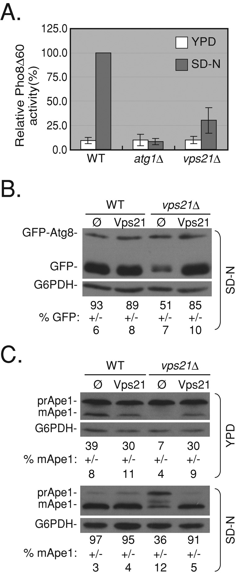 FIGURE 1: