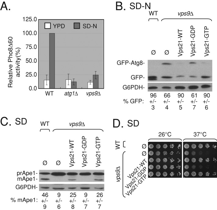 FIGURE 5: