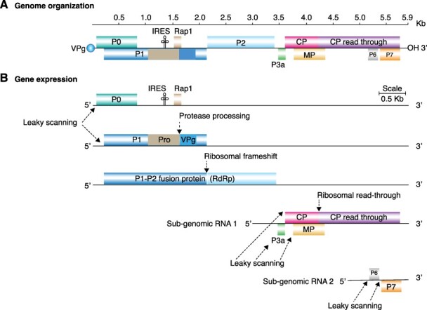 Figure 1.