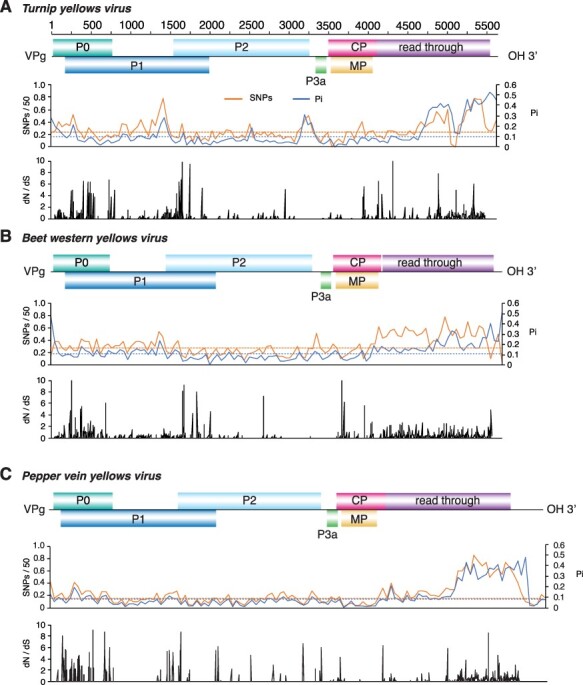 Figure 6.