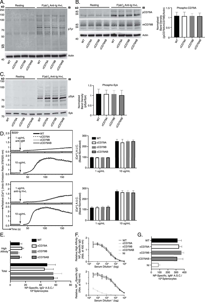 Fig 2.