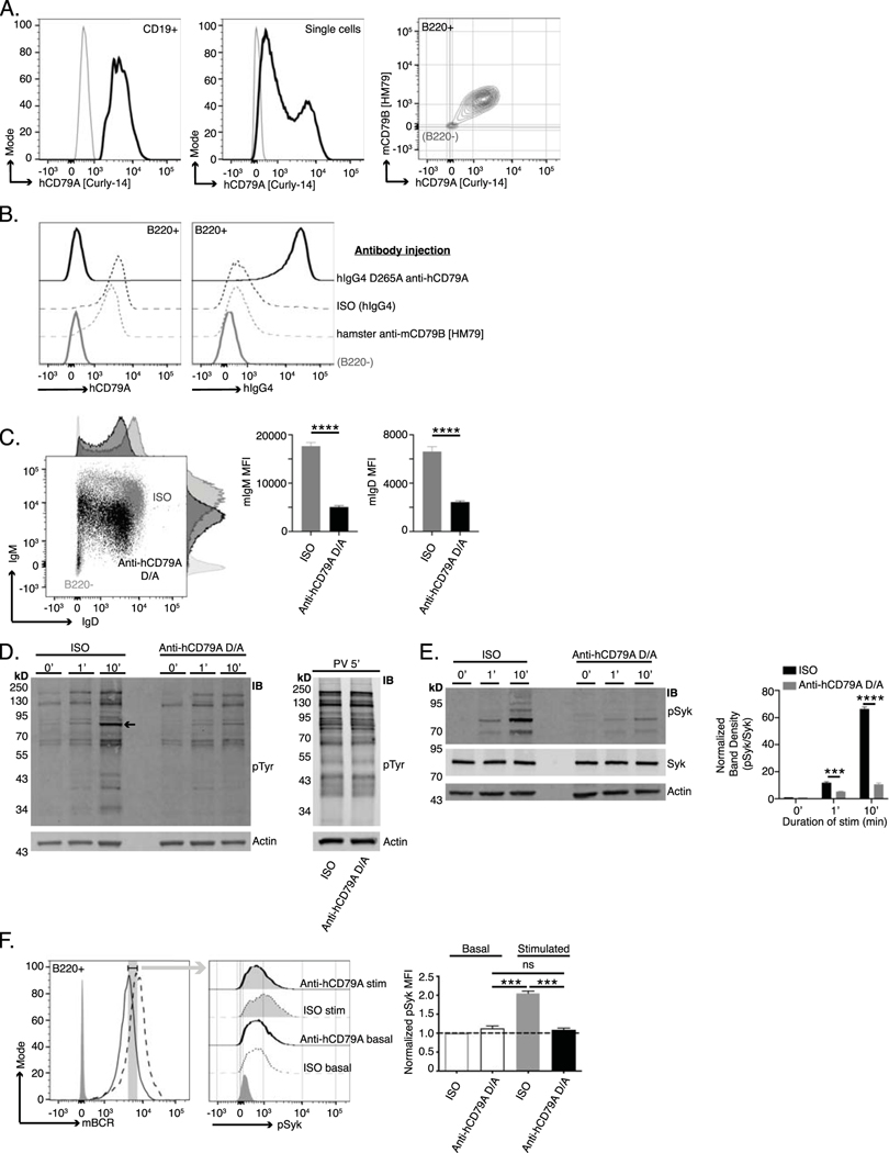 Fig 3.