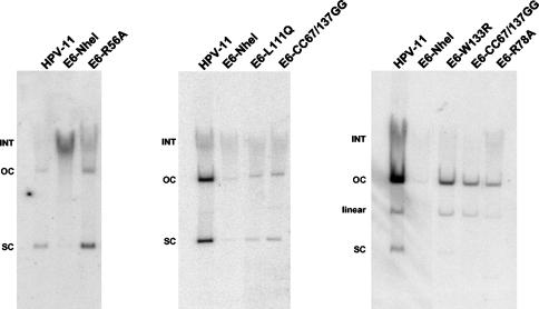 FIG. 5.