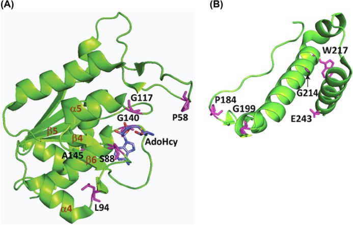 FIGURE 1.