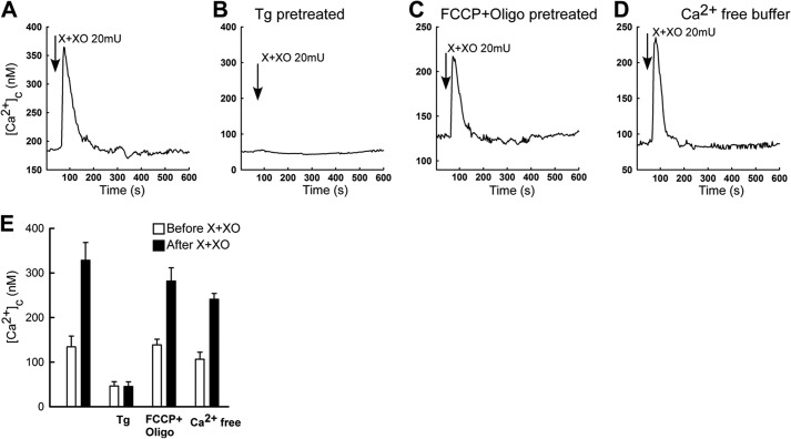 FIGURE 3.