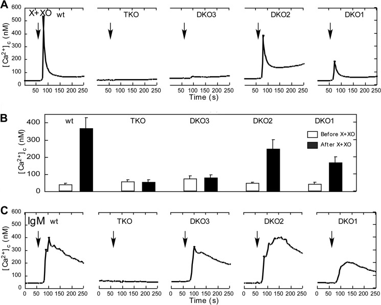 FIGURE 6.