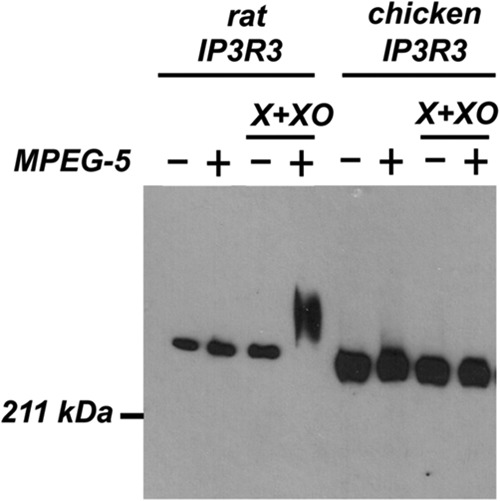 FIGURE 10.