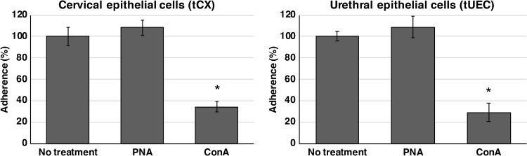 FIG 2